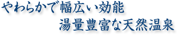 やわらかで幅広い効能、湯量豊富な天然温泉