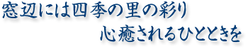 窓辺には四季の里の彩り心癒されるひとときを